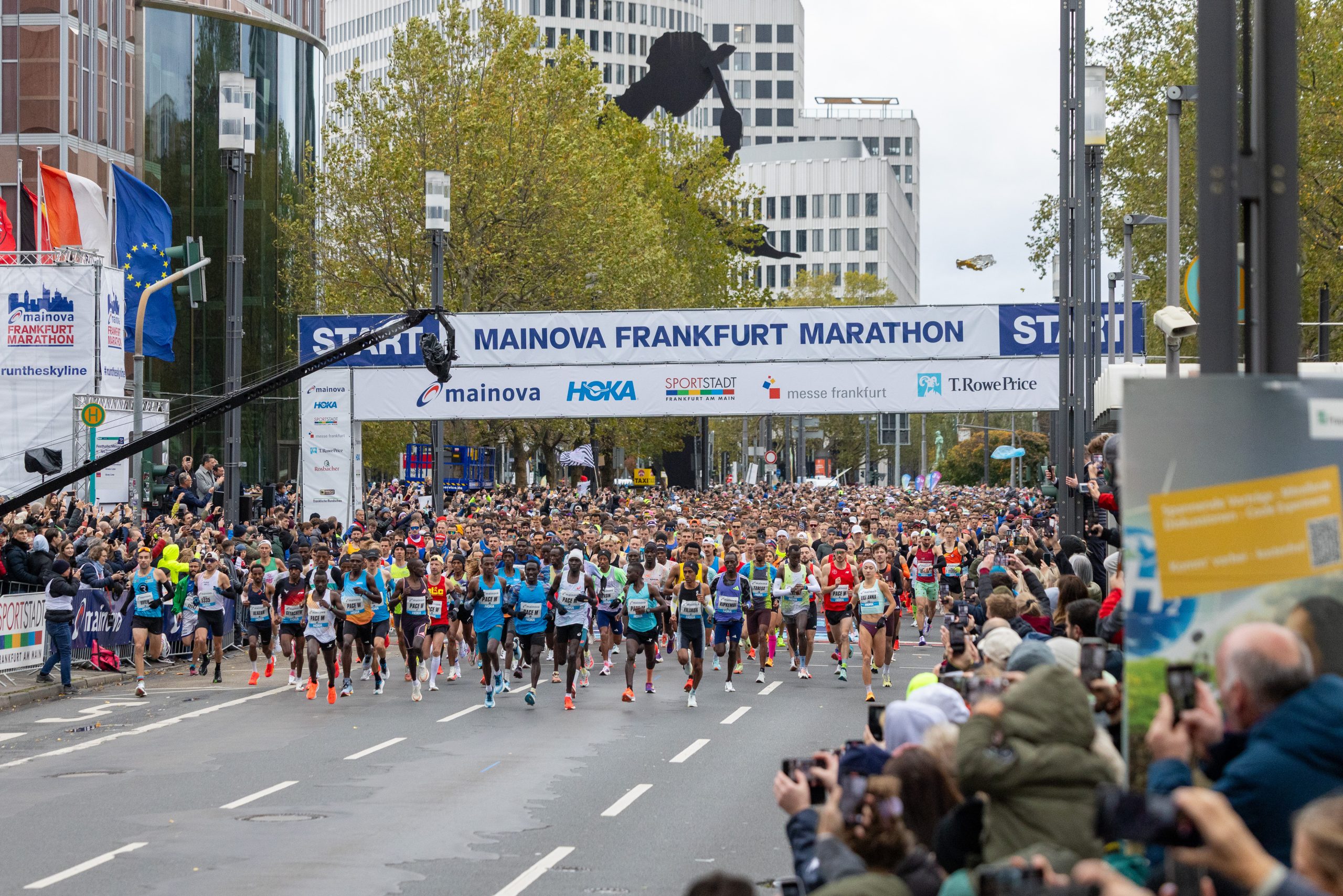 Frankfurt Marathon 2025
